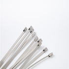 Natural Color Cold Rolling SS201 Stainless Steel Wire Cable Ties