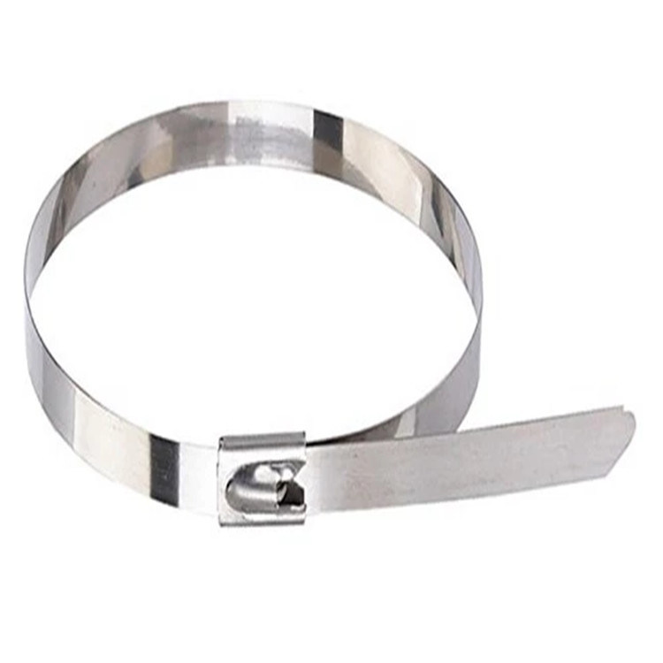 stainless steel locking ties