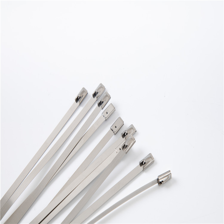 SS316 SS321 Nylon Coated Stainless Steel Cable Ties