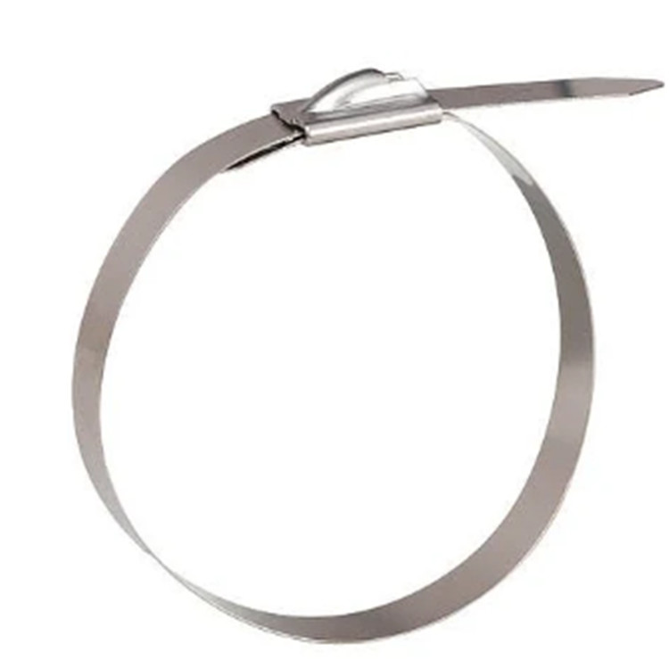 stainless steel locking ties